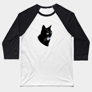 Pride Cat Baseball T-Shirt